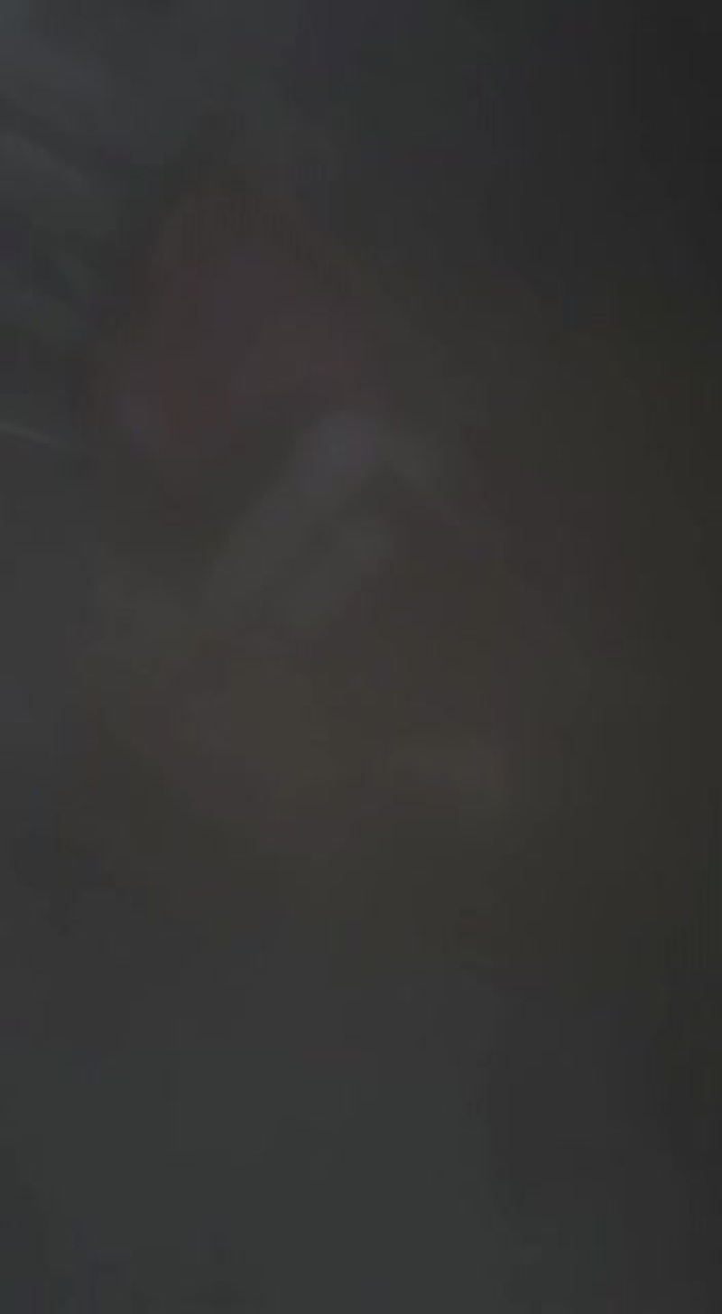老树栗子油栗栗米黄色