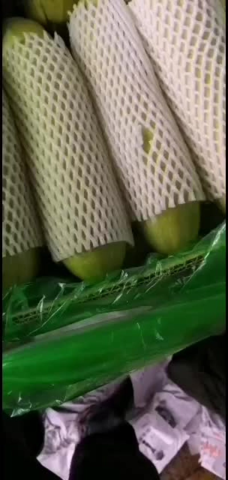 精品西葫芦现已大量上市，全国均可发货