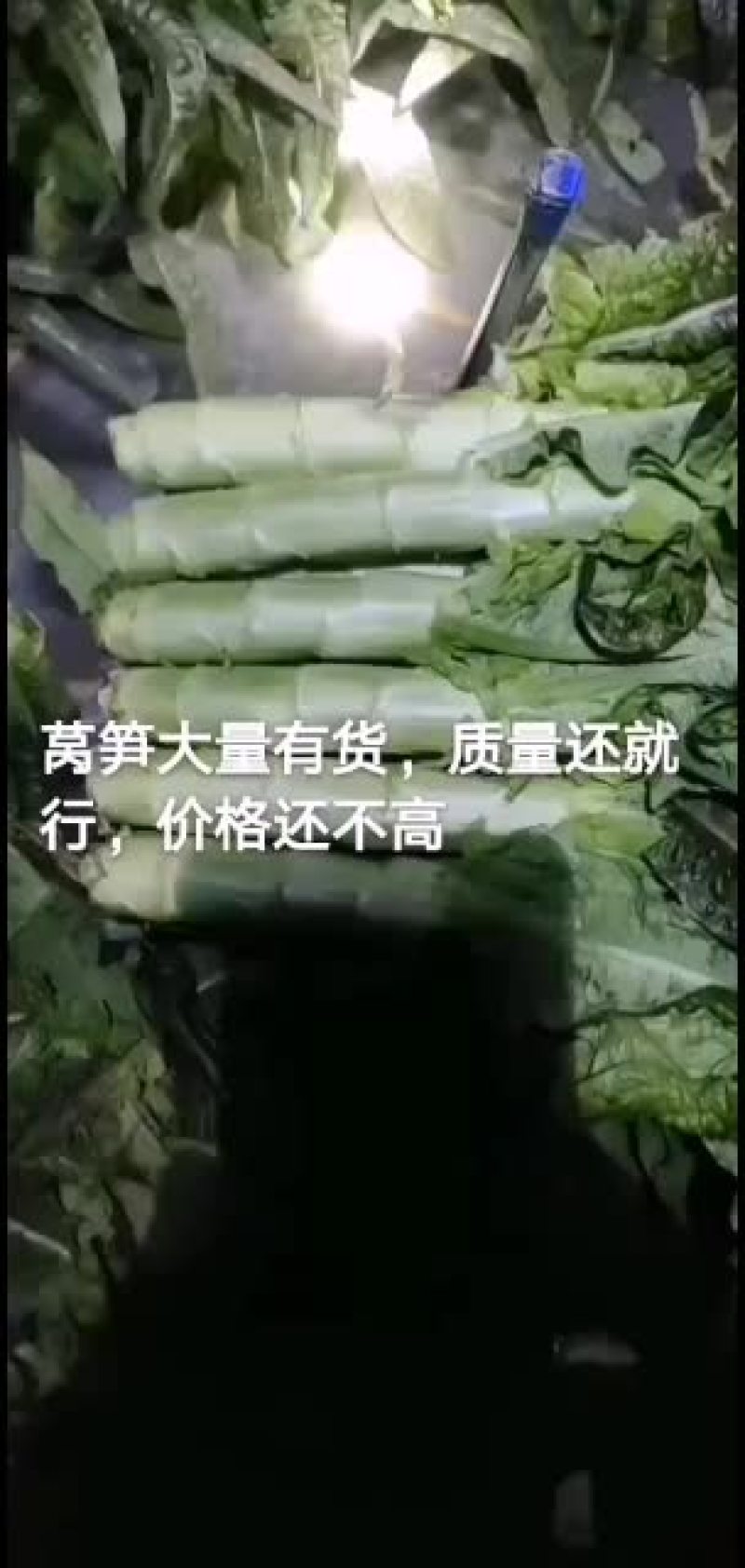 莴笋，产地直销，保证质量，量大从优，合作共赢