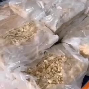 长期供应优质一级猪大肠