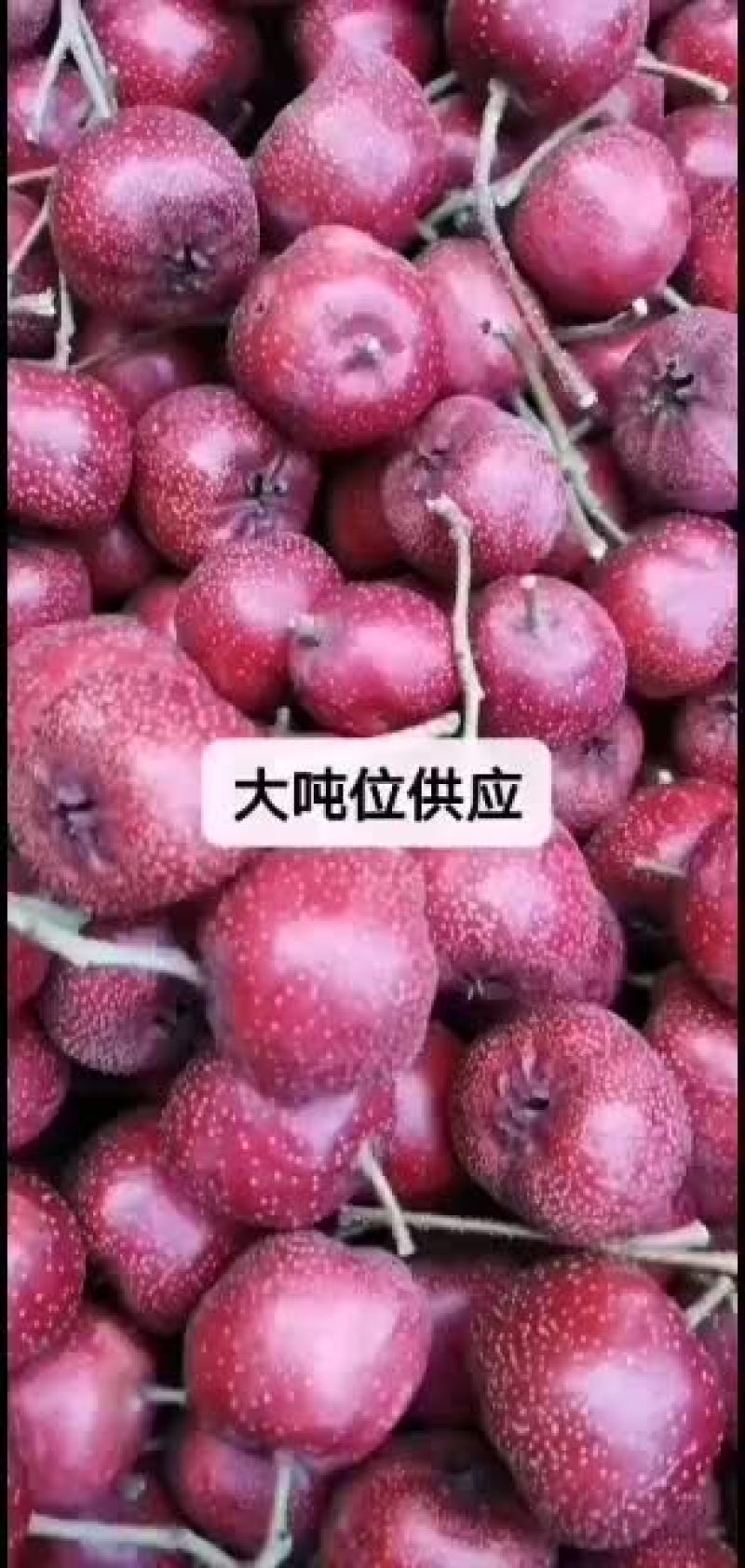 甜口老北京山楂.穿炒都可以.大吨位供应