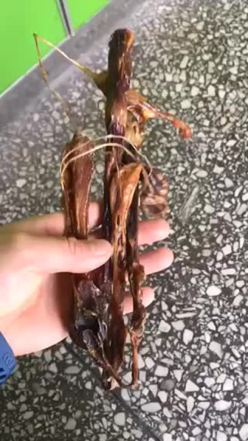 狗鞭狗鞭新货上市批发零售