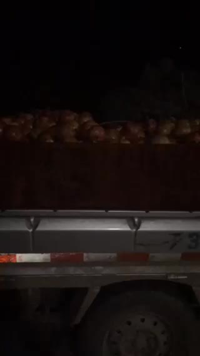 大凉山突尼斯软籽石榴次果