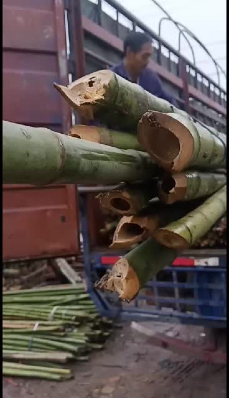 各种规格的旗竿竹，尾径2cm左右，均是产地一手货源，质优