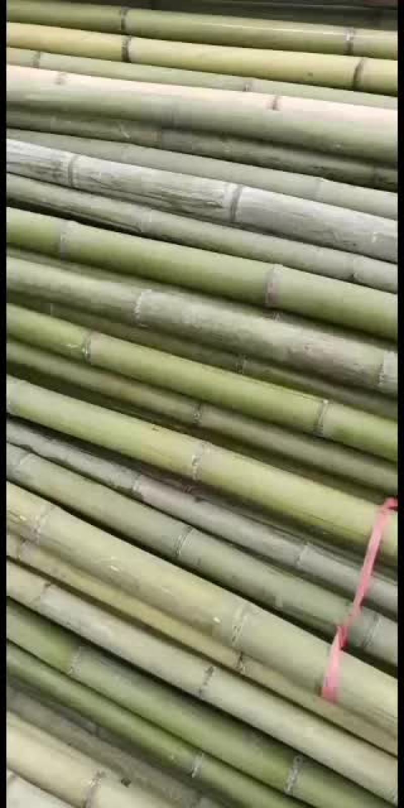 各种规格的旗竿竹，尾径2cm左右，均是产地一手货源，质优