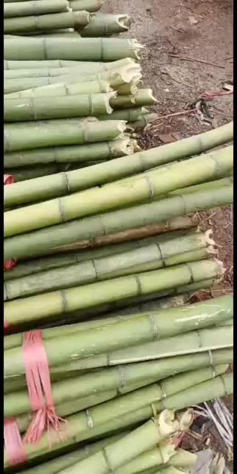 各种规格的旗竿竹，尾径2cm左右，均是产地一手货源，质优