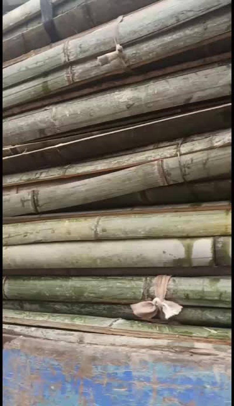 各种规格的旗竿竹，尾径2cm左右，均是产地一手货源，质优