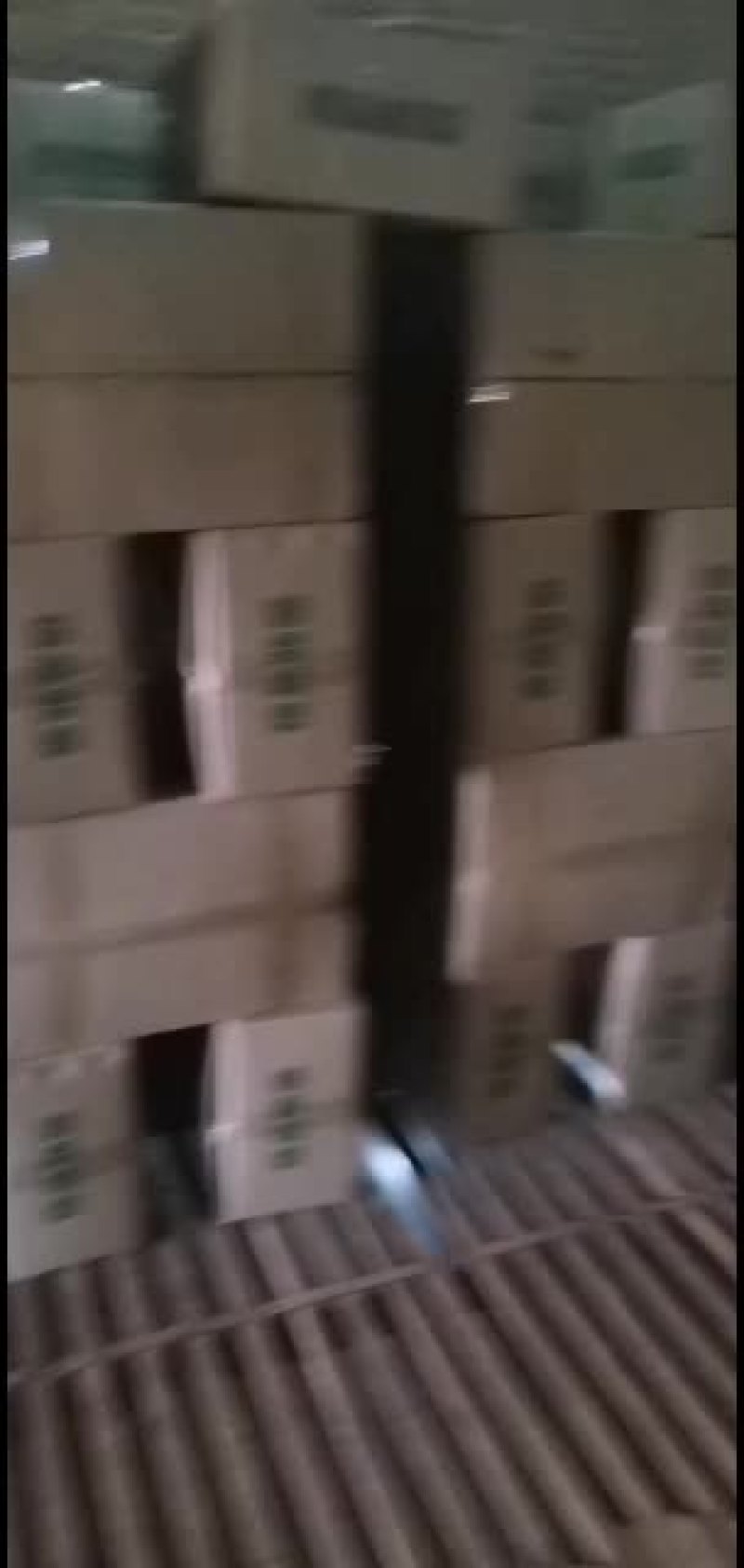 本人已从事此行业5年了，熟练掌握各种农产品蔬菜保鲜和打冷