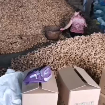 核桃