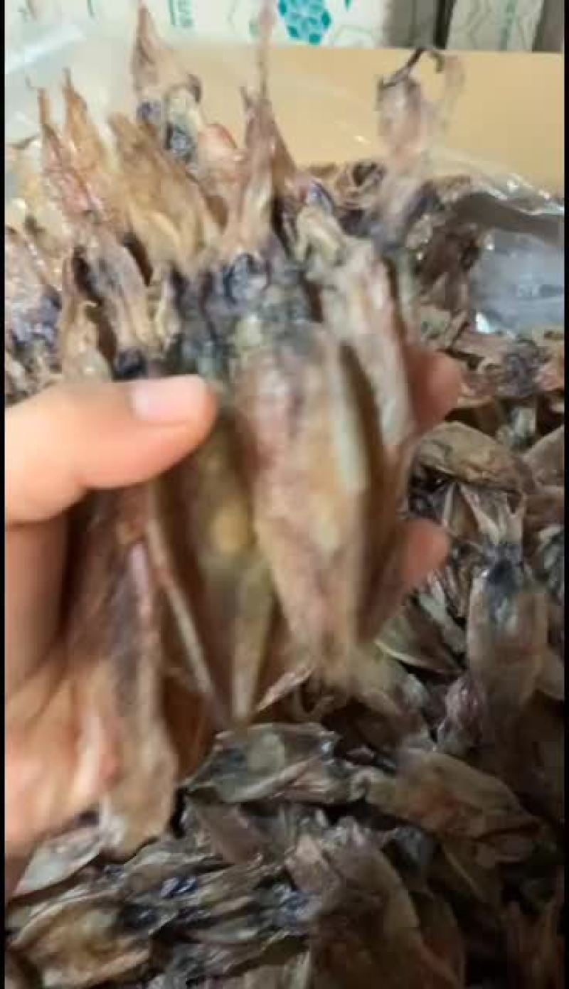 新鲜纯晒的枣鱿鱼，坚持纯手工无添加淡干枣鱿，以质量为生存