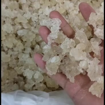 雪燕，平民百姓养颜甜品
