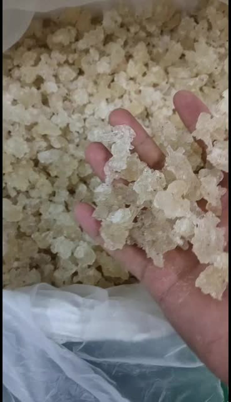 雪燕，平民百姓养颜甜品