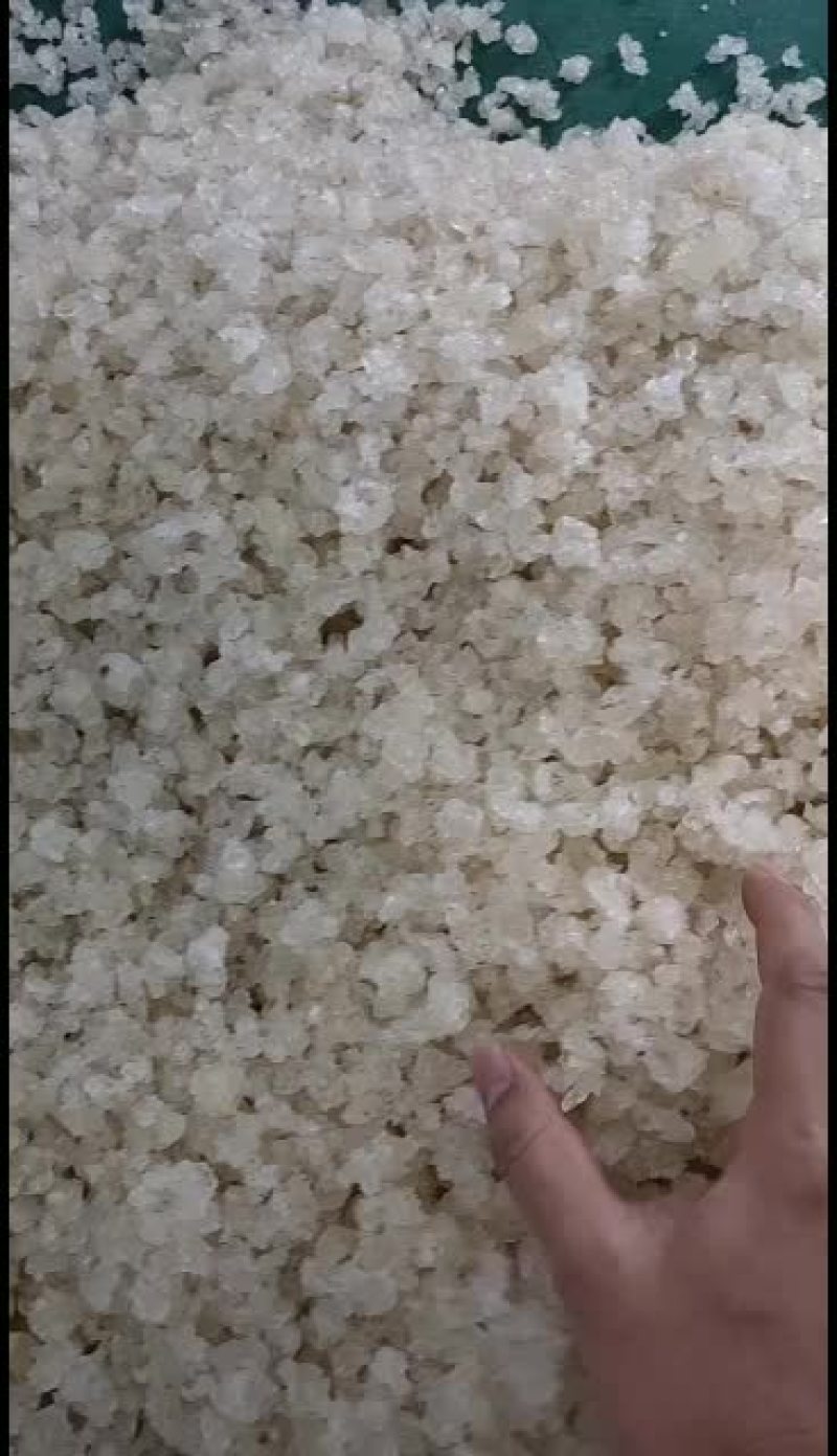 雪燕，平民百姓养颜甜品