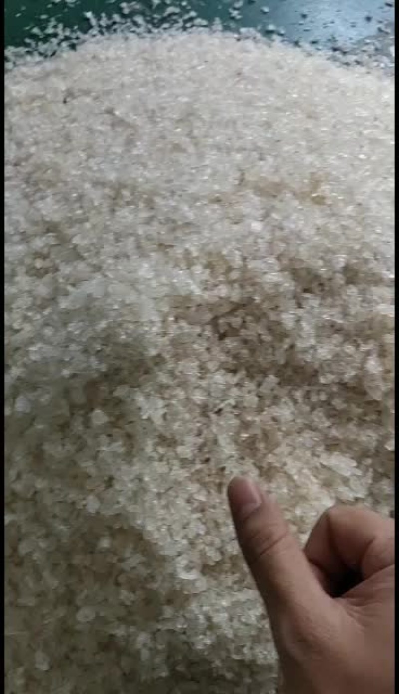 雪燕，平民百姓养颜甜品