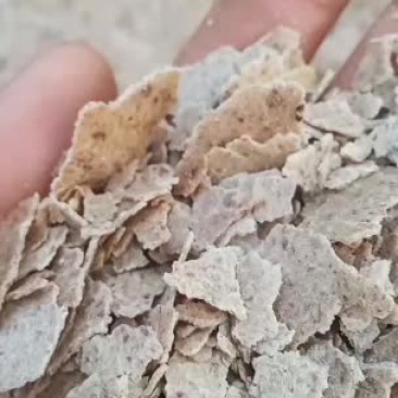 花生饼好货不多，抓紧选购