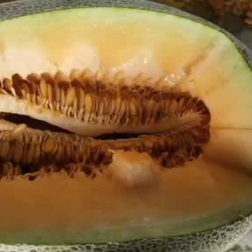 新疆吐鲁番火焰山底下的精品
