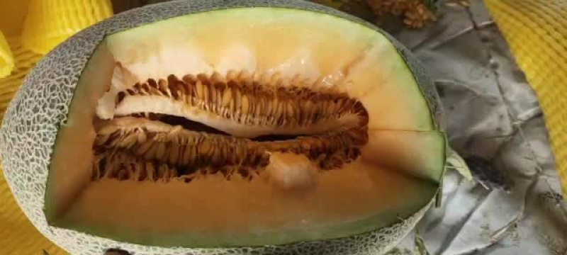 新疆吐鲁番火焰山底下的精品