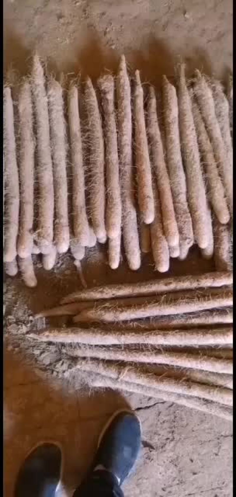 山药，麻山药，库存山药，山药，棒药，子药