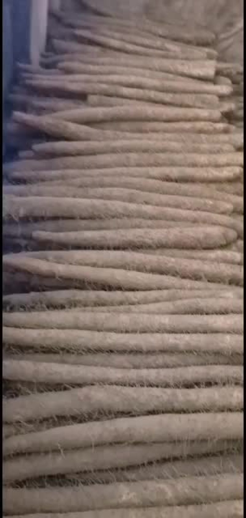 山药，麻山药，库存山药，山药，棒药，子药