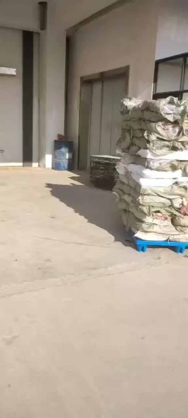 去头红娘鱼常年保质保量规格齐全