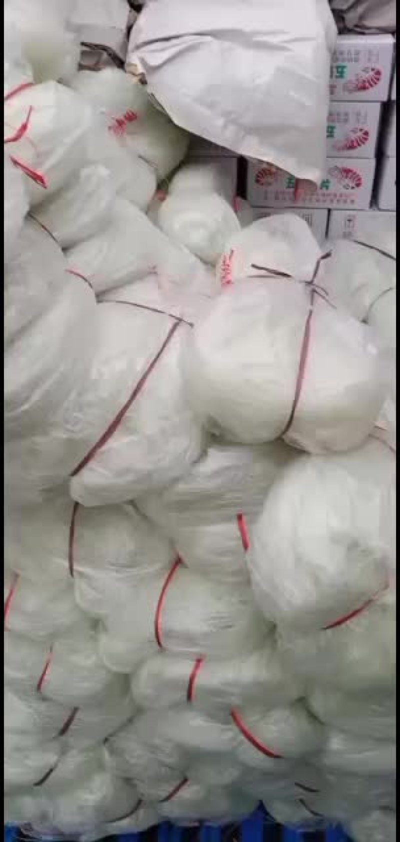 粉丝欢迎各位老板光临