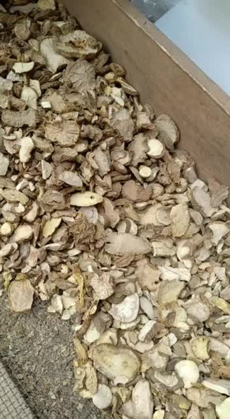 金果榄无硫无杂枝，包含量