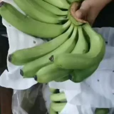 猴桥大基地货质量三包支持全国各地发货