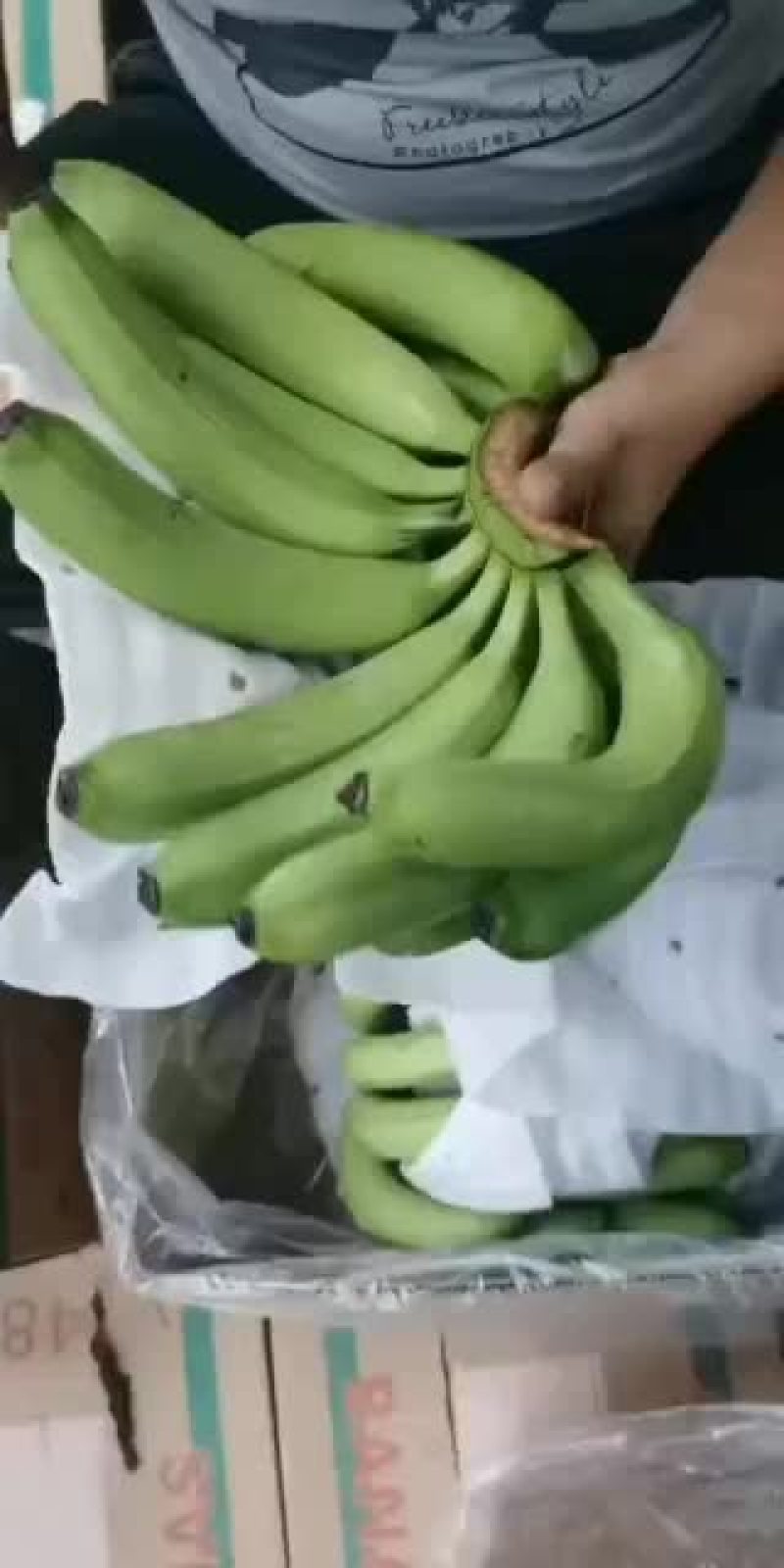猴桥大基地货质量三包支持全国各地发货