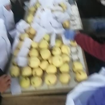 贡梨热卖中，欢迎选购