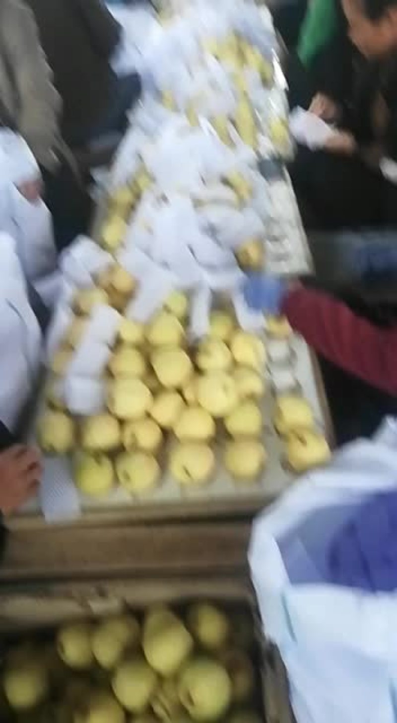 贡梨热卖中，欢迎选购