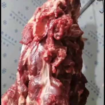 火锅烧烤专业部位外脊吊龙里脊外脊眼肉后腿
