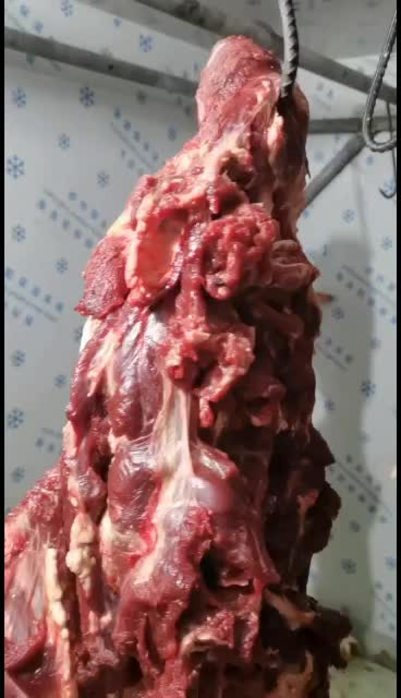 火锅烧烤专业部位外脊吊龙里脊外脊眼肉后腿