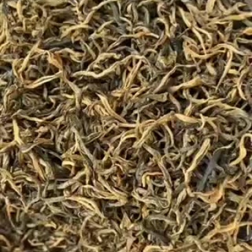 英德红茶高香英红九号