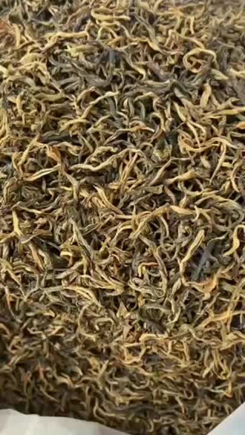 英德红茶高香英红九号
