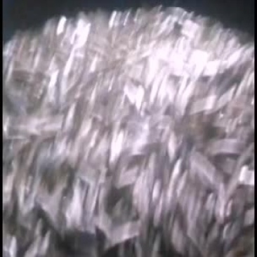 开肚鱼（白条鱼）这段时间太抢手了，搞到天天加班