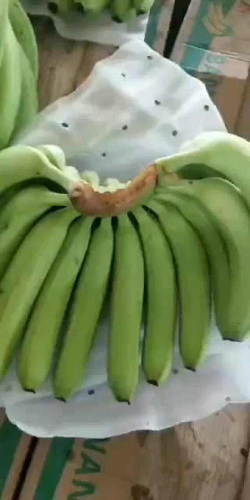 缅甸靓香蕉，章风口岸出货，现货支持全国发货