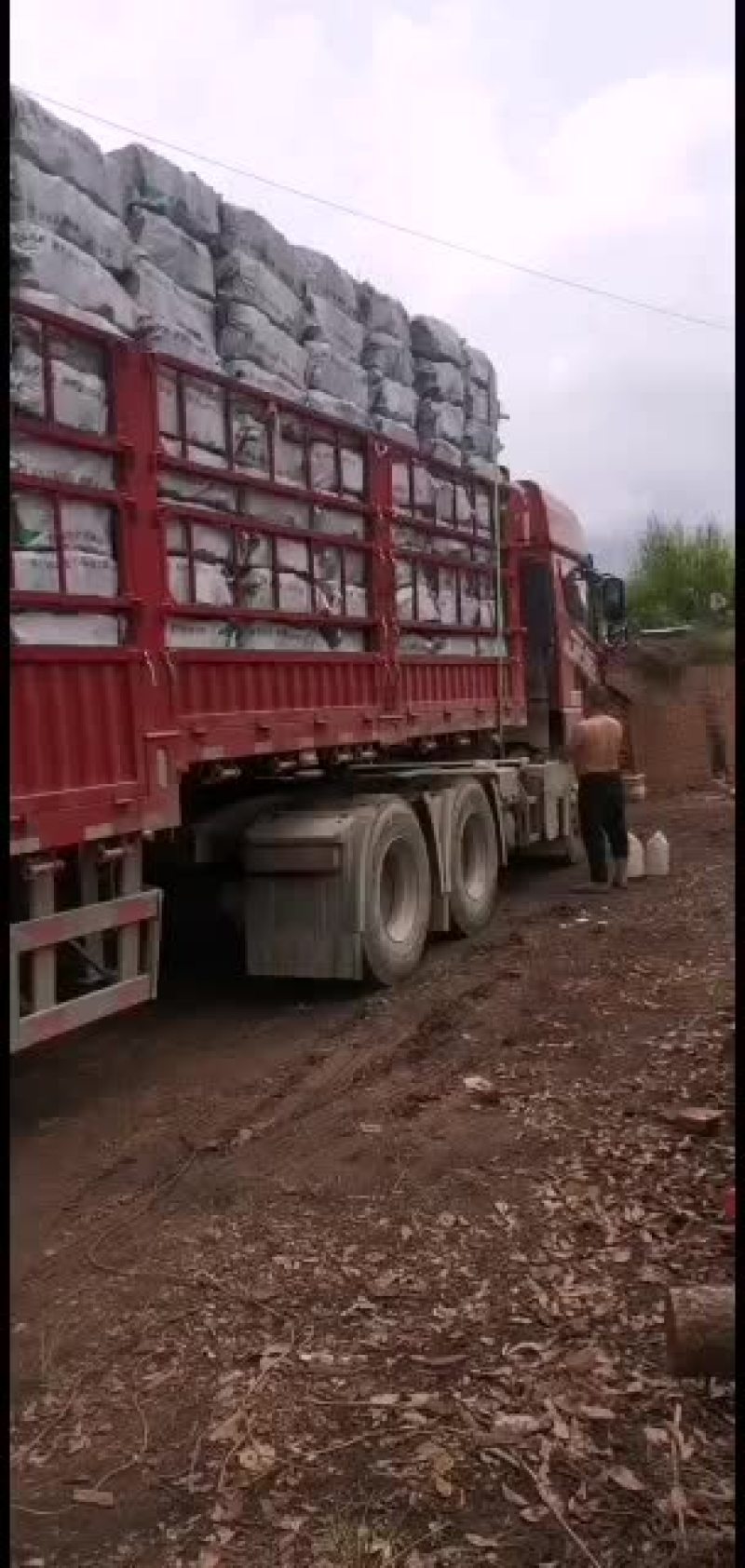 木炭，果木炭，白木炭，高温木炭，烧烤专用木炭，取暖专用木