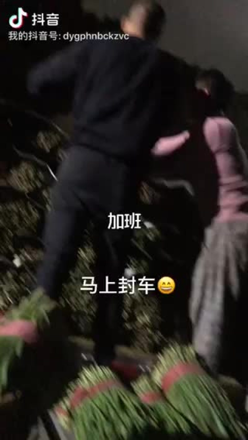 本人常年供应精品韭菜，