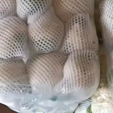 精品花菜欢迎选购大小合适