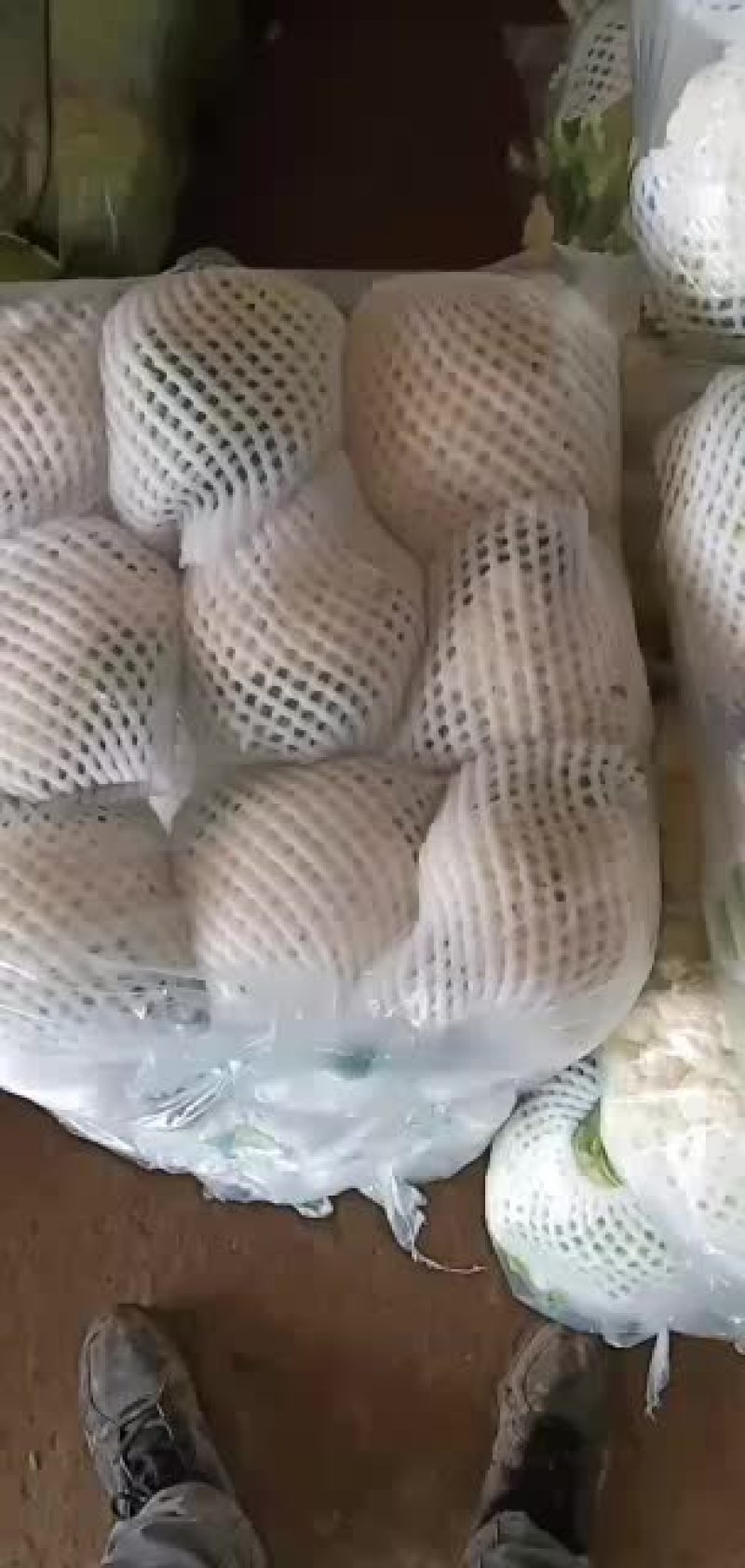 精品花菜欢迎选购大小合适
