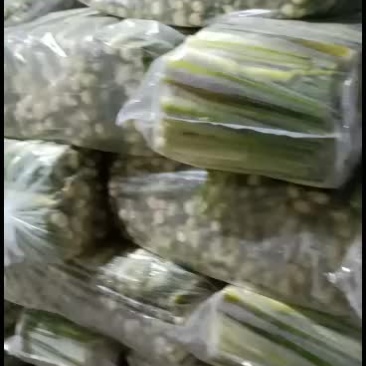 千亩高山茭白，品正味美。