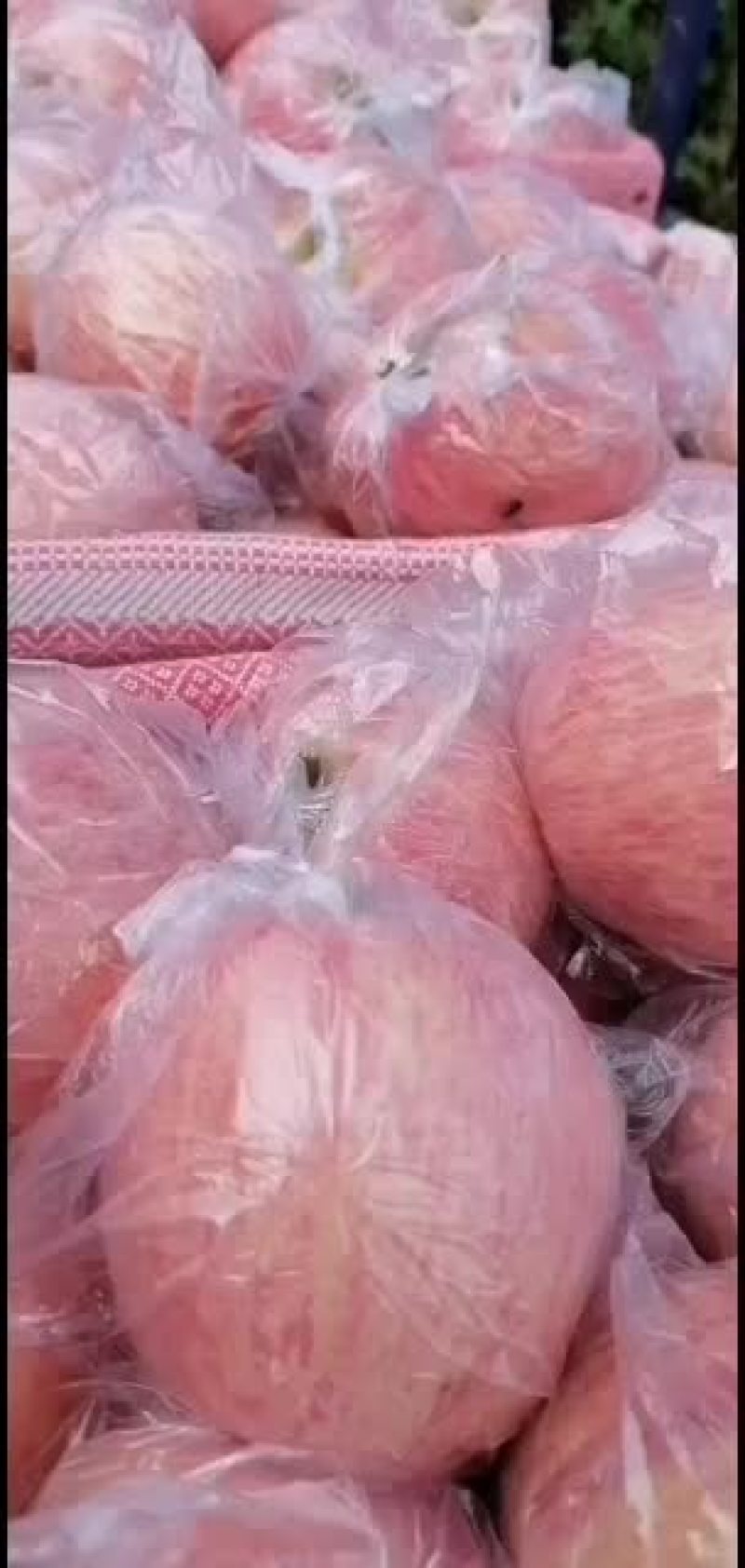 纸加膜条纹富士刚刚上市需要的话联系我