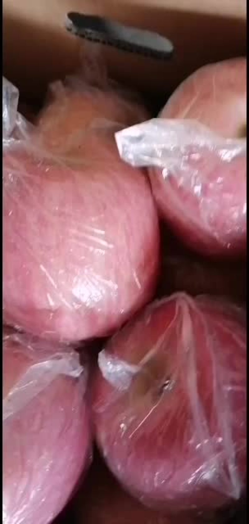 纸加膜条纹富士刚刚上市需要的话联系我