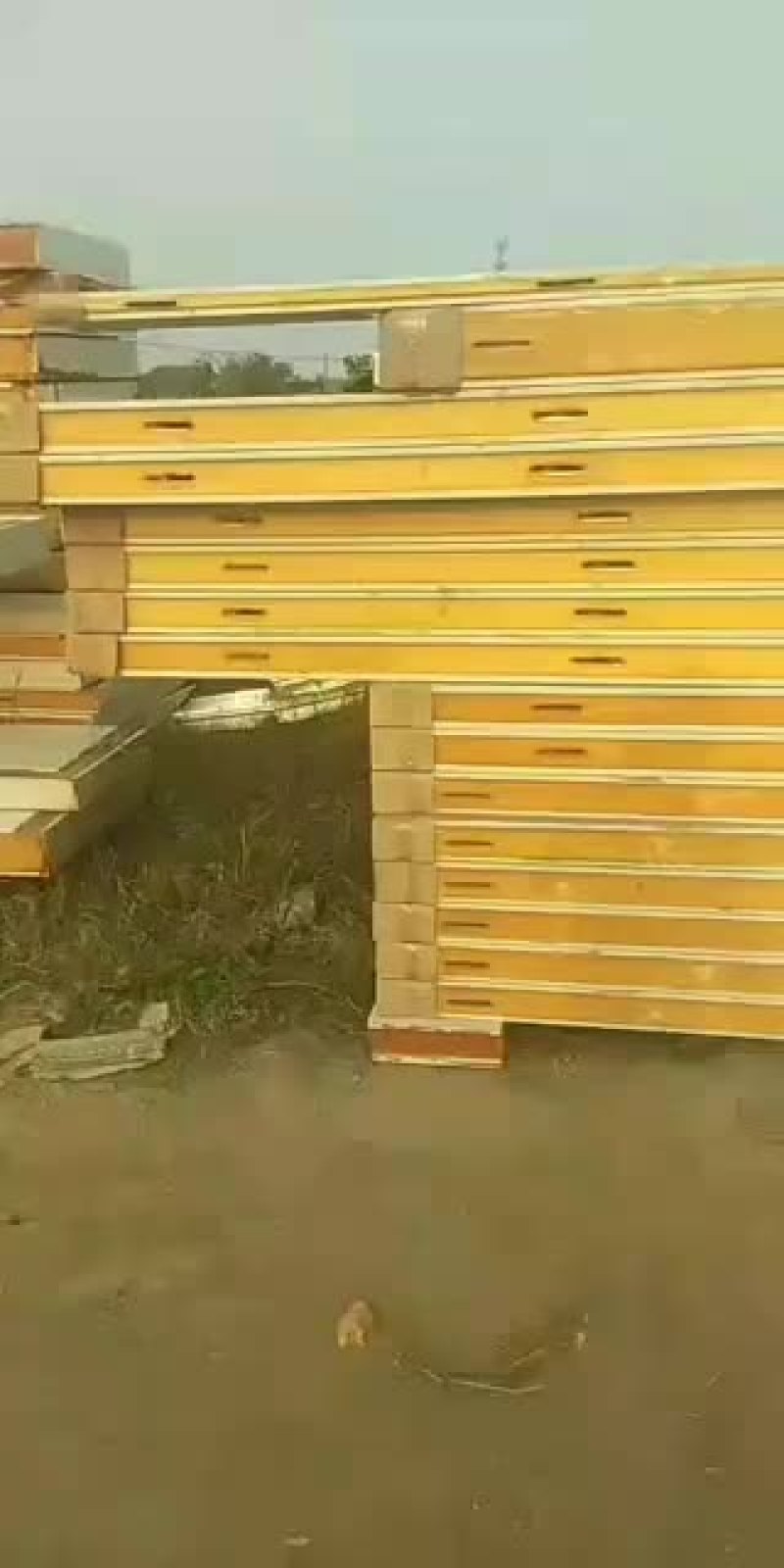 移动库，冷冻库，速冻库，保鲜库