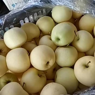 黄香蕉装箱中，质量不错需要的朋友欢迎你们