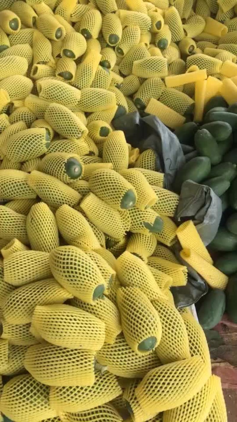 木瓜