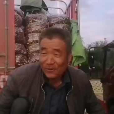长枣冬枣。可以配送全国