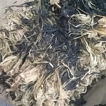 脱水白菜，质量保证，价格合理！