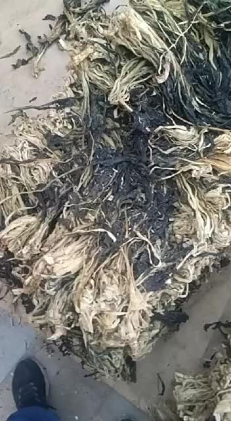 脱水白菜，质量保证，价格合理！