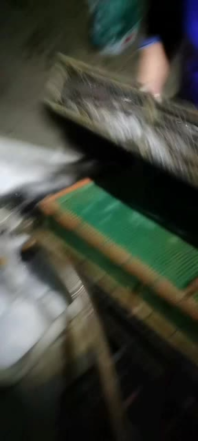 南美对虾欢迎新老客户订购。